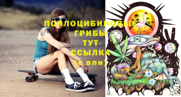 а пвп мука Надым