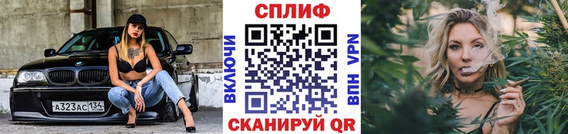 Бошки Шишки тримм  mega как войти  Мамоново 